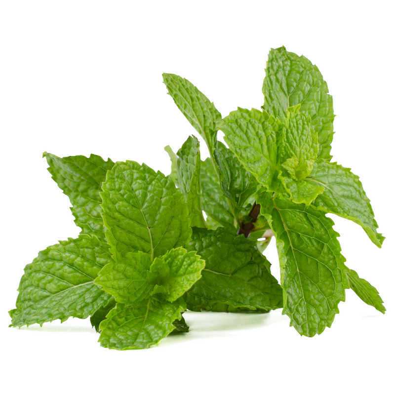 Mint Flavor Natural